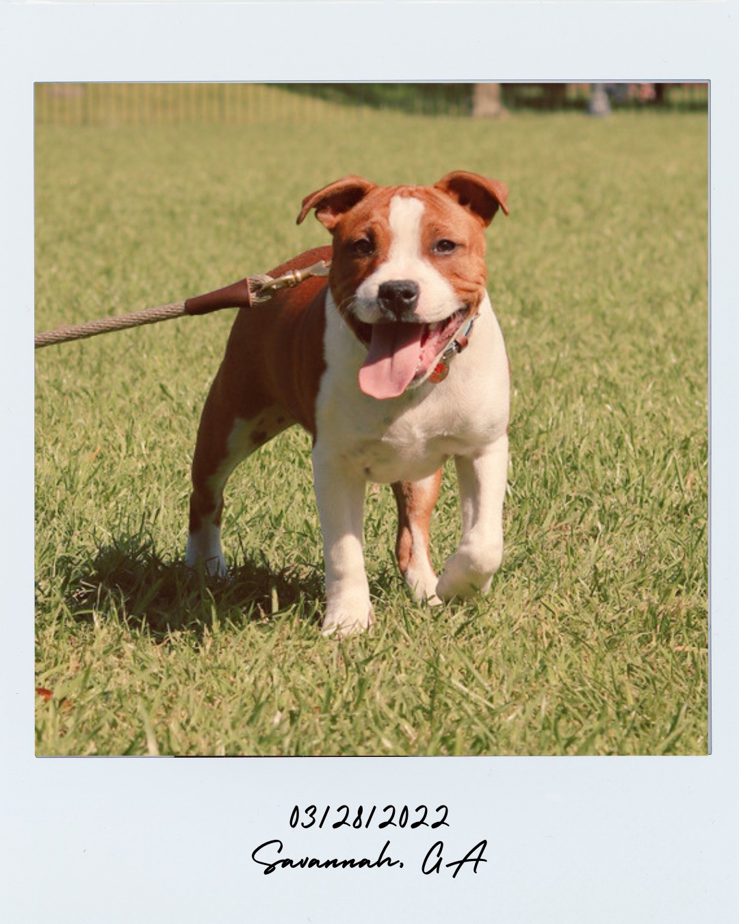 Polaroid of sparkles